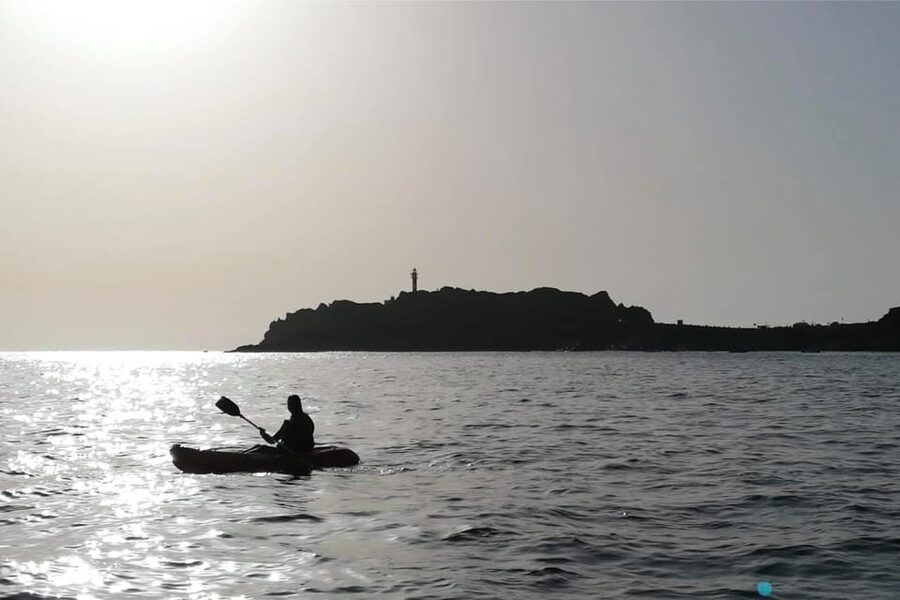 Punta de Teno: Kayak Safari overlooking Los Gigantes Cliffs - Getting to Punta de Teno by Line 369