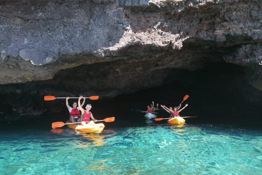 Punta de Teno: Kayak Safari overlooking Los Gigantes Cliffs - Is $40 a fair price?