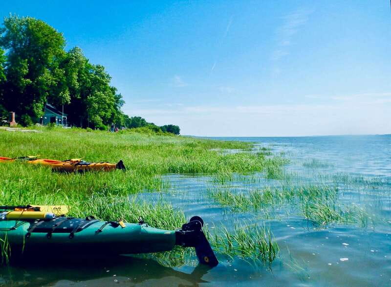 Quebec City: Sea-Kayaking Tour in Orleans Island - Booking details worth checking