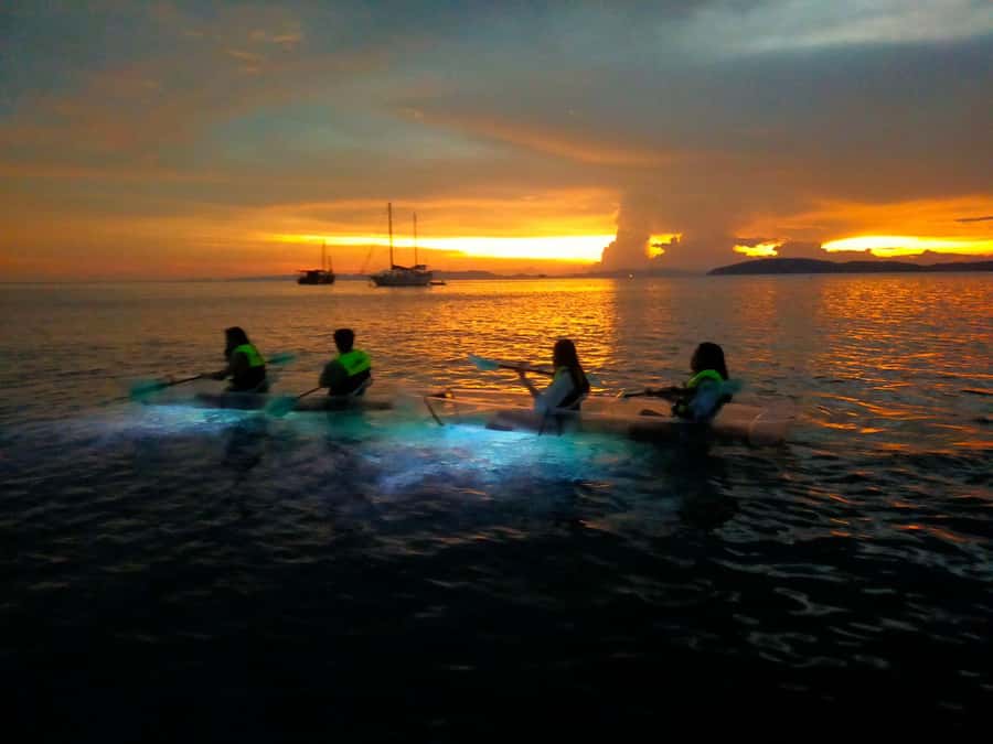 Railay: Illuminated Clear Kayak Night Tour Bioluminescence - Key points to know before booking