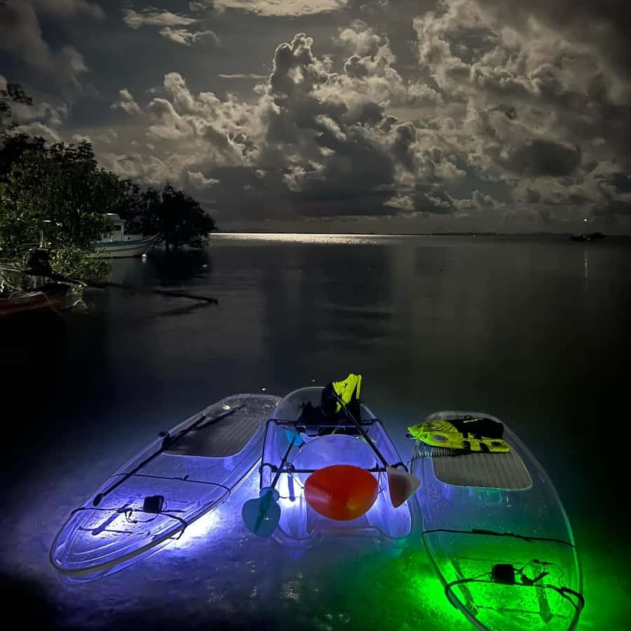 Railay: Illuminated Clear Kayak Night Tour Bioluminescence - Finding the bioluminescent plankton