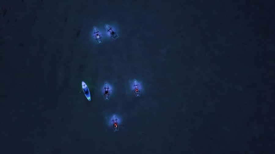 Railay: Illuminated Clear Kayak Night Tour Bioluminescence - Meeting Freebird Paddle Co. on Railay Walking Street
