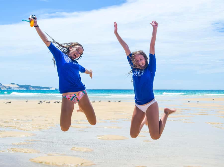 Rainbow Beach: Kayaking with Dolphins and Beach 4WD Tour - Should you book the Rainbow Beach dolphin kayak tour?