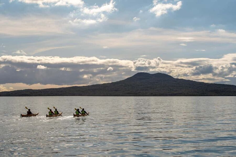Rangitoto Island: Sea Kayak & Summit Hike Day Trip - The Waitemata Harbor crossing