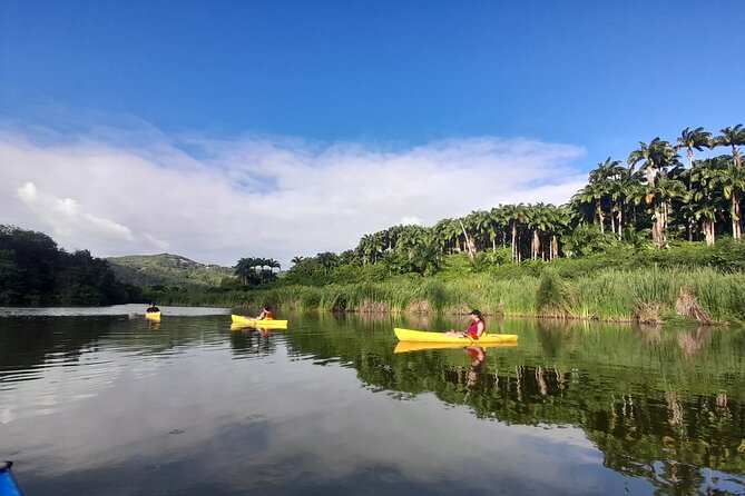 Rental Kayaking or Stand-up Paddle 2H - Key points to know before you book
