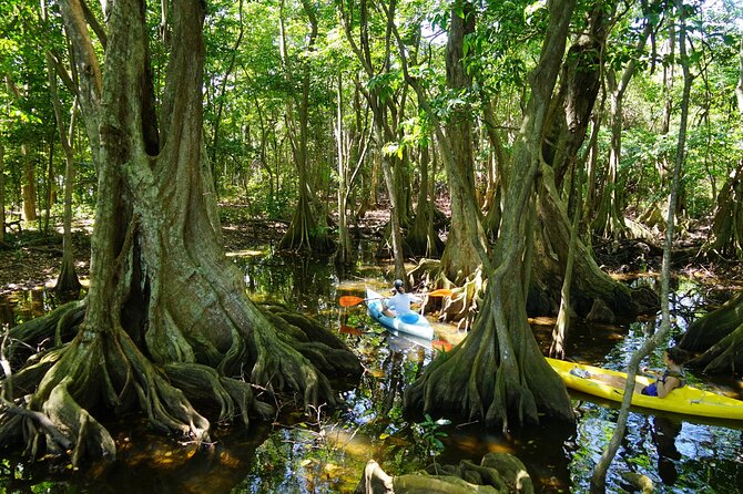 Rental Kayaking or Stand-up Paddle 2H - The optional sea paddle toward a secret beach