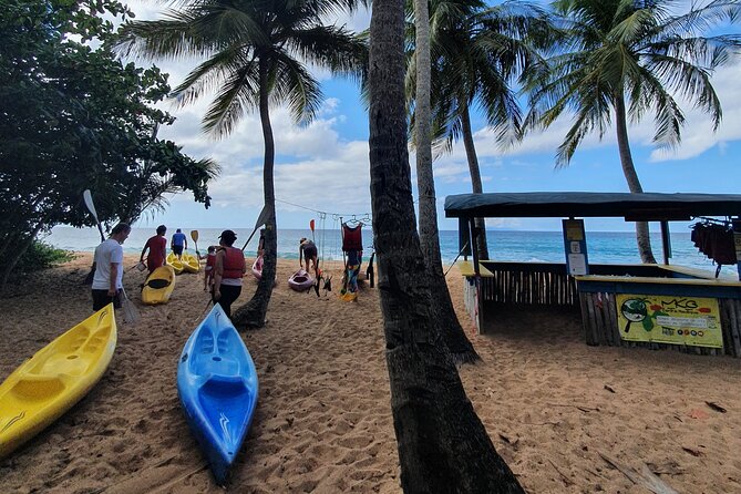 Rental Kayaking or Stand-up Paddle 2H - What is included, and what you need to bring