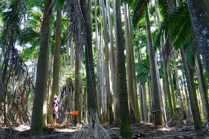 Rental Kayaking or Stand-up Paddle 2H - Best for families, couples, and independent explorers