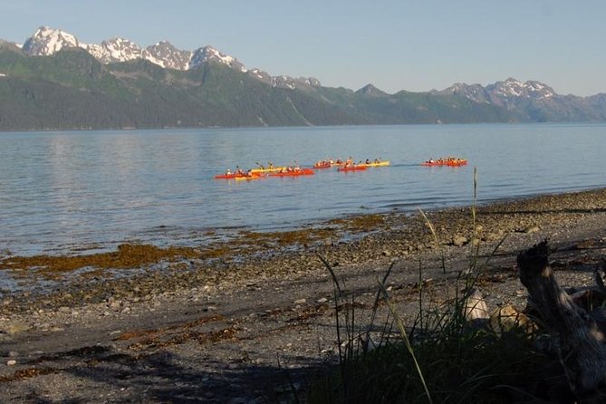 Resurrection Bay Kayaking Adventure - Key points to know before you book