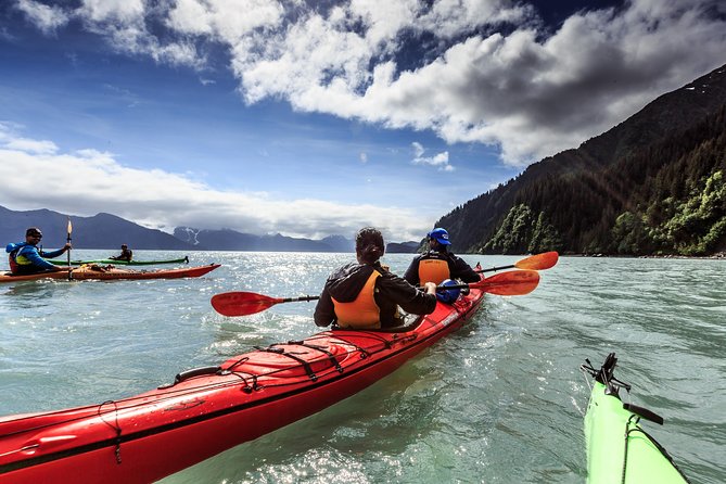 Resurrection Bay Kayaking Adventure - Guides who make beginners feel at ease