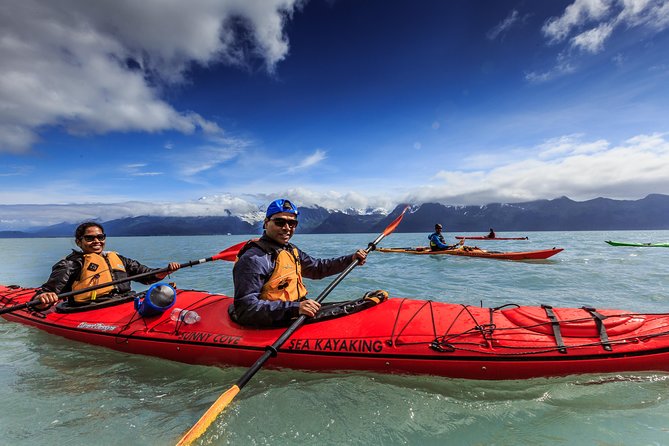 Resurrection Bay Kayaking Adventure - Wildlife along the shoreline