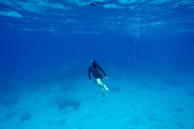 Rhodes: Stand Up Paddle & Snorkel Adventure - Is the $102.84 price fair?