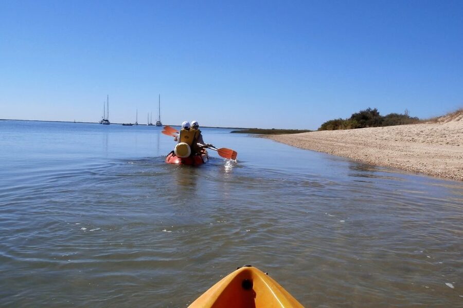 Ria Formosa National Park: Kayak Trip - Who will enjoy this tour most?