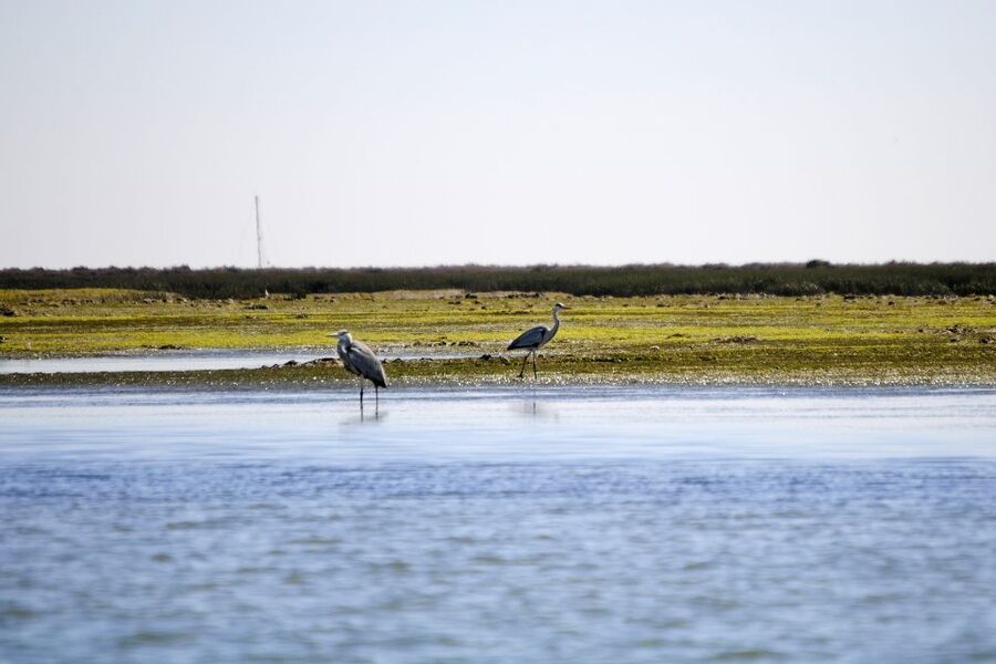 Ria Formosa National Park: Kayak Trip - Is $58 a fair price for two hours?