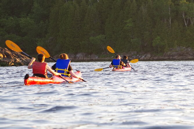 River Relics Kayaking Adventure - Timing, transport, and value