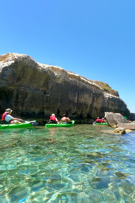 Roca Vecchia: Kayak and Canoe Tour to La Grotta della Poesia - How the $61.49 price compares with the experience