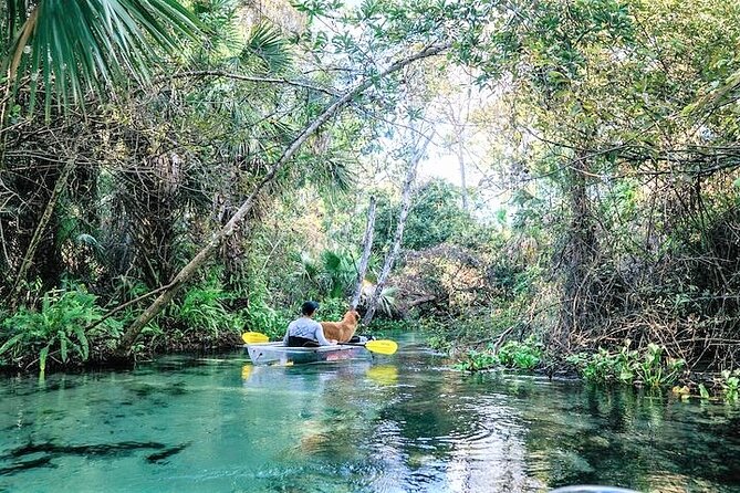 Rock Springs 2-Hour Glass Bottom Guided Kayak Eco Tour - The upstream paddle is the real workout