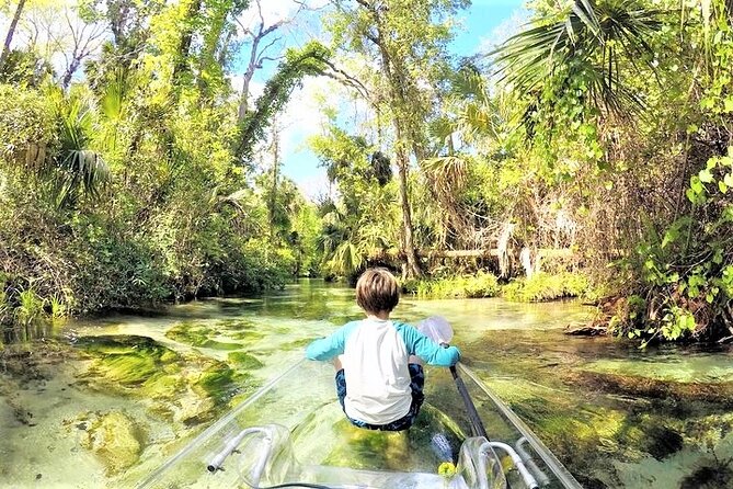 Rock Springs 2-Hour Glass Bottom Guided Kayak Eco Tour - Guides make the difference