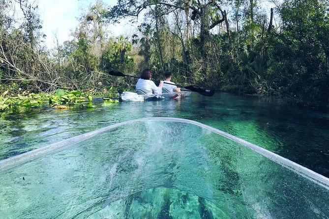 Rock Springs 2-Hour Glass Bottom Guided Kayak Eco Tour - Wildlife is a bonus, not the main promise