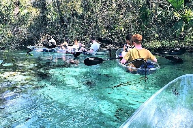 Rock Springs 2-Hour Glass Bottom Guided Kayak Eco Tour - Swimming in the spring water