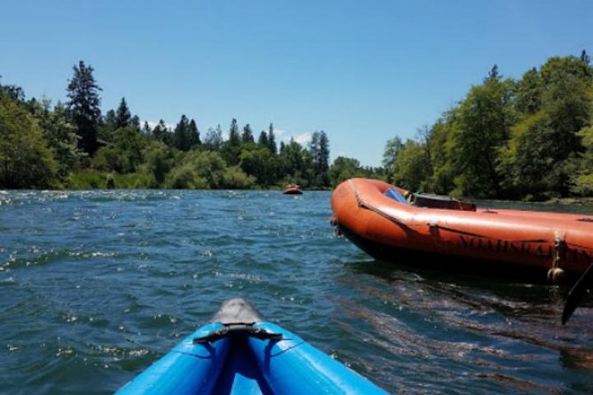 Rogue River Family Float & Discovery Park-Rafting and Kayaking - The River Ride and Its Wildlife Focus
