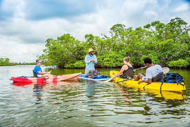 Rookery Bay Kayak Adventure – Mangroves, Wildlife & Photos - Entering Rookery Bay from Capri Paddlecraft Park