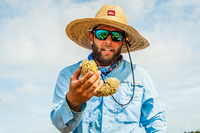 Rookery Bay Kayak Adventure – Mangroves, Wildlife & Photos - The value of a trained guide
