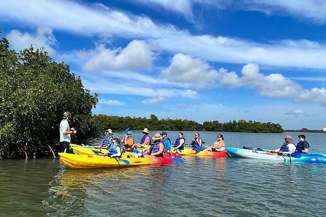 Rookery Bay Kayak Adventure – Mangroves, Wildlife & Photos - Timing, group size, and practical costs