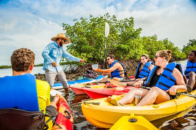 Rookery Bay Kayak Adventure – Mangroves, Wildlife & Photos - Who will enjoy this outing most