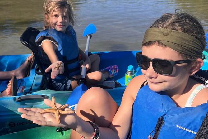 Rookery Bay Kayak Adventure – Mangroves, Wildlife & Photos - Should you book the Rookery Bay kayak adventure?