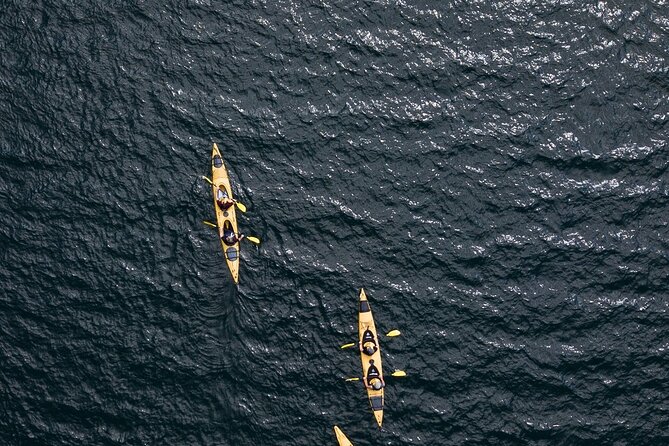 Rotorua: Daytime Scenic Lake Rotoiti Kayak Tour - The first briefing and getting on the water