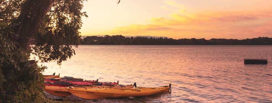 Rotorua: Evening Starlight Gourmet Kayak Tour with dinner - Key points to know before you book