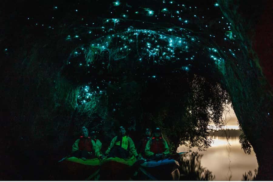 Rotorua: Glow Worm Adventure Kayak - Why this nighttime paddle feels different