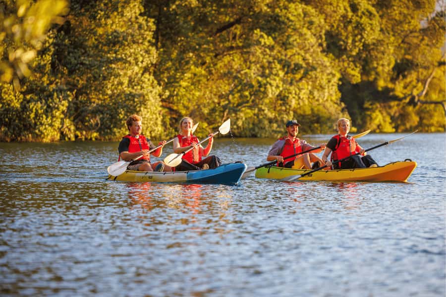 Rotorua: Glow Worm Adventure Kayak - Meeting at Rotorua Information Centre