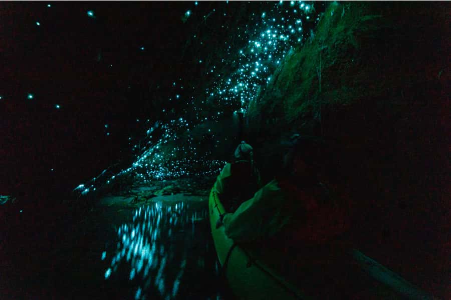 Rotorua: Glow Worm Adventure Kayak - The guides make the difference