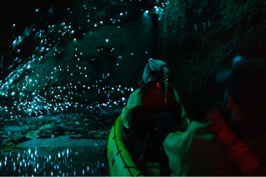 Rotorua: Glow Worm Adventure Kayak - Who should book this Rotorua experience