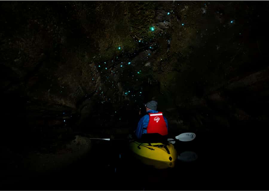 Rotorua: Glow Worm Kayak Tour - Who will enjoy this most