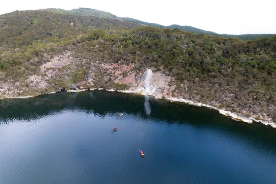 Rotorua: Waimangu Valley Walk and Steaming Cliffs Kayak Tour - Ninety minutes beside the steaming cliffs