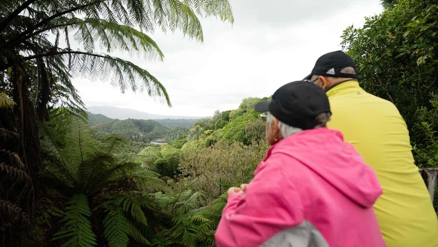Rotorua: Waimangu Valley Walk and Steaming Cliffs Kayak Tour - Who will get the most from this tour