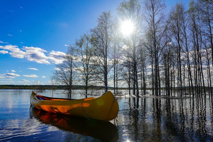 Rovaniemi: Authentic Reindeer Farm & Canoeing - Booking details that matter
