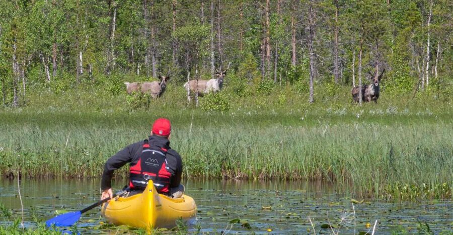Rovaniemi: Authentic Reindeer Farm & Canoeing - Why this pairing works so well