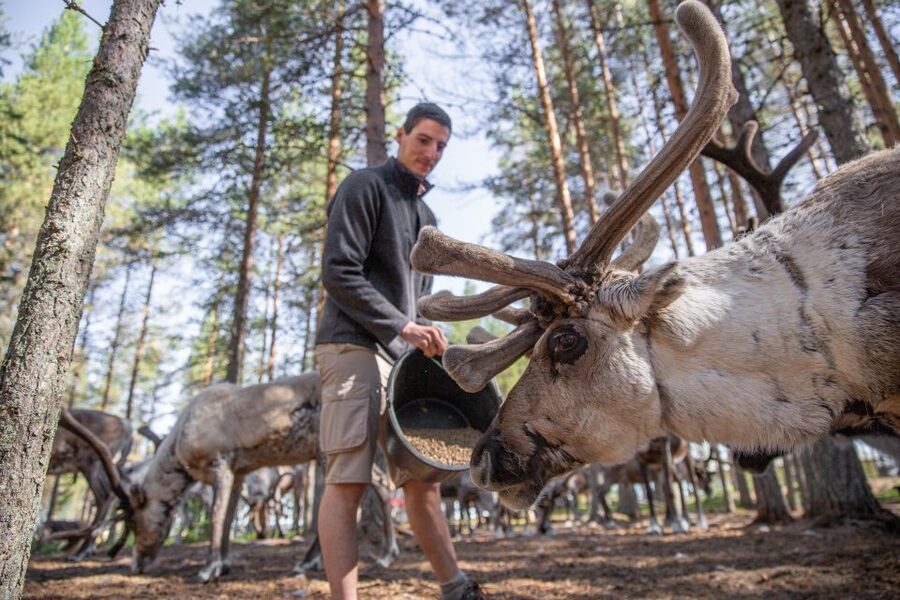 Rovaniemi: Authentic Reindeer Farm & Canoeing - Price, group size, and overall value
