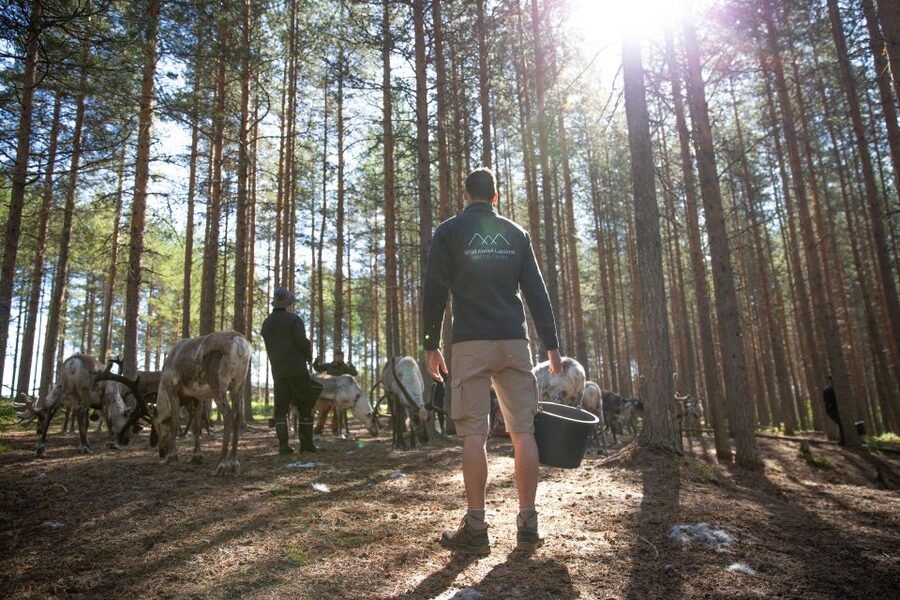 Rovaniemi: Authentic Reindeer Farm & Canoeing - Weather, clothing, and comfort