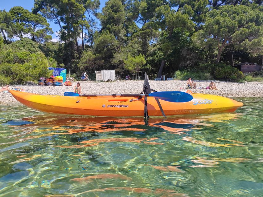 Rovinj: Golden Cape Desert Islands Kayak & Snorkeling Tour - The guide makes the difference