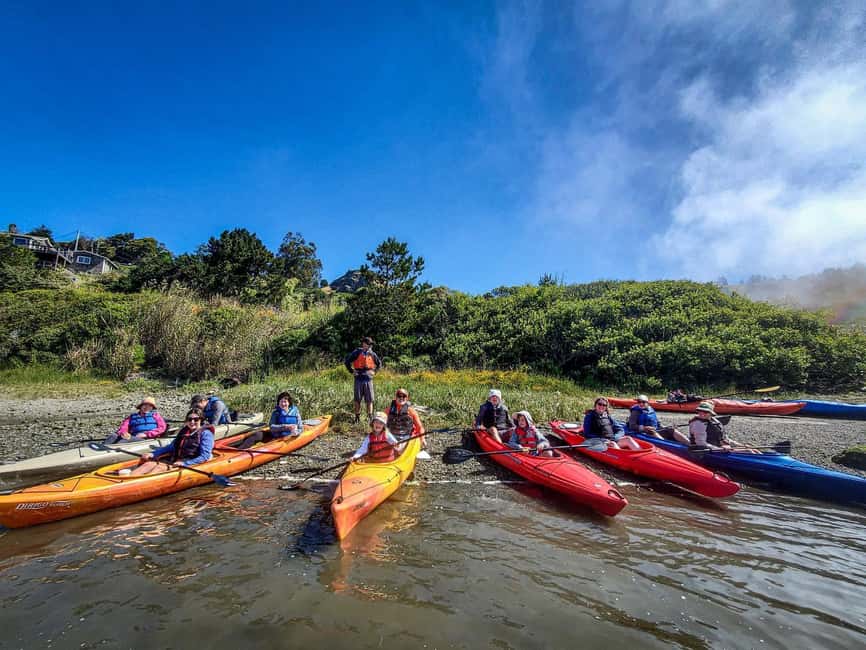 Russian River: Kayak Tour - Birdwatching from a low seat