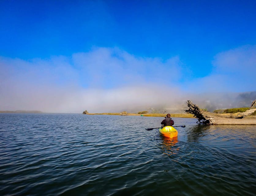 Russian River: Kayak Tour - How the tour feels for beginners and mixed groups
