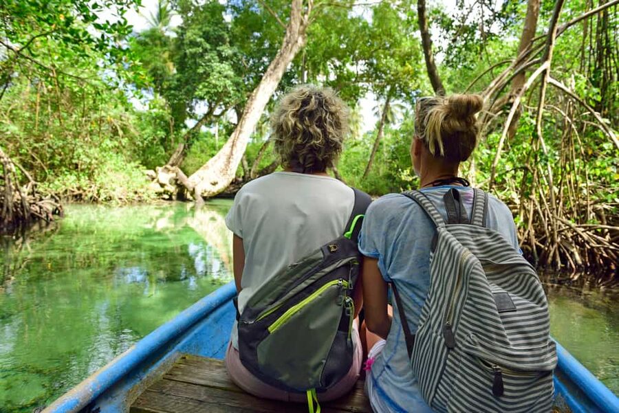 Sabana de la Mar: Los Haitises Guided Hike and Kayaking - Walking through the humid forest