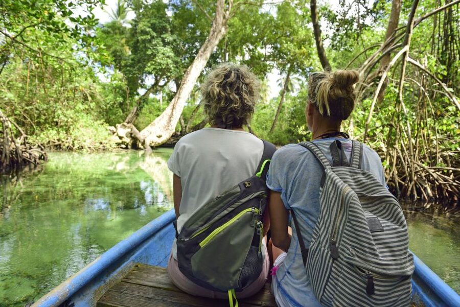 Sabana de la Mar: Los Haitises Guided Hike and Kayaking - Launching the kayaks into the mangroves