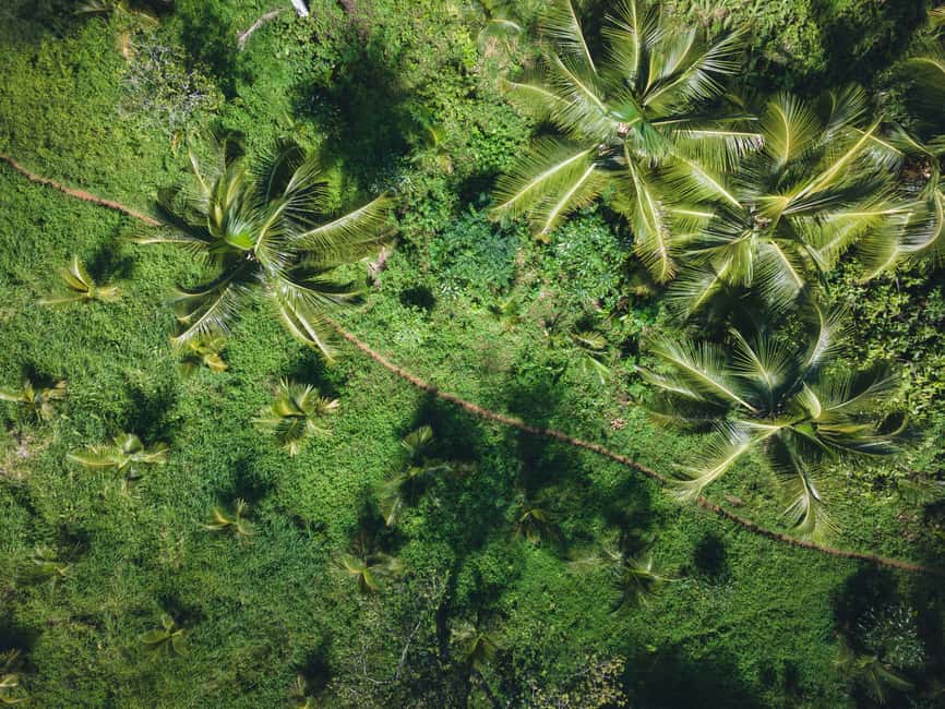 Sabana de la Mar: Los Haitises Guided Hike and Kayaking - How the guides shape the day