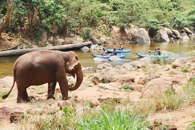 Safety whitewater rafting in Chiangmai by Khampan Rafting - Passing the elephant sanctuary
